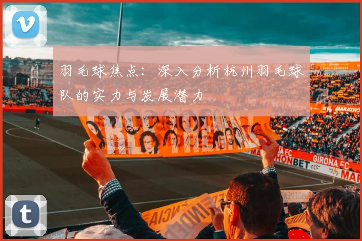 羽毛球焦点：深入分析杭州羽毛球队的实力与发展潜力