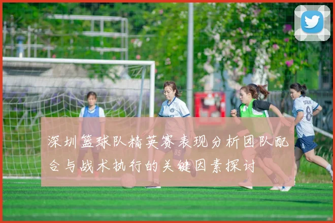 深圳篮球队精英赛表现分析团队配合与战术执行的关键因素探讨