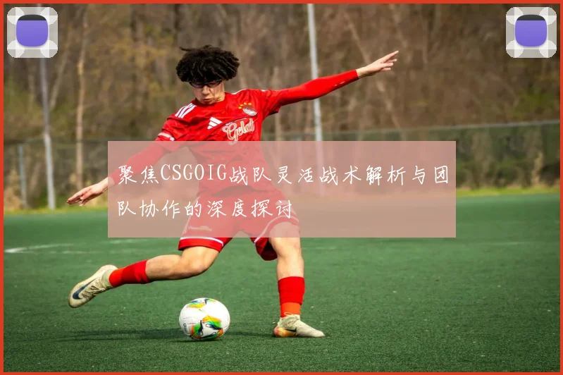 聚焦CSGOIG战队灵活战术解析与团队协作的深度探讨